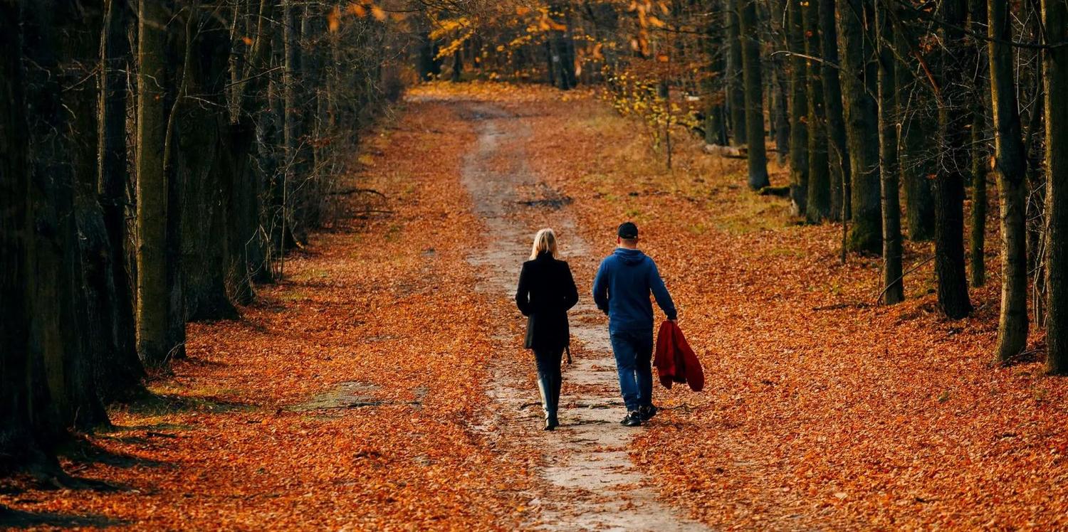 A couple walking a tree-lined path in autumn